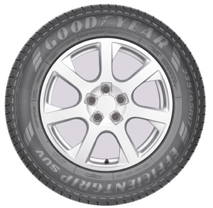 goodyear_componentes