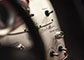 foto: Pagani_zonda_int03.jpg