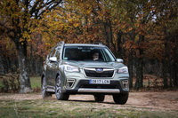 foto: Subaru Forester ECOhybrid 2019_13.JPG