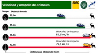 foto: RACE-accidentes con animales_03.jpg
