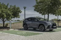 foto: Lexus NX 2022 prueba_05.jpg