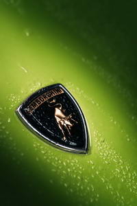 foto: Lamborghini Miura V12 aniversario_13.jpg