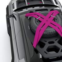 foto: Renault 4EVER Trophy_13.jpg