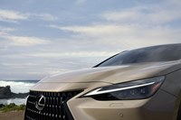 foto: Lexus NX Overtrail_05.jpg