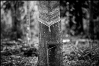 foto: Cyber Tyre_07.jpg