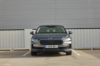 foto: Superb Hatch_02a.jpg