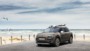 foto: 01 Citroën C4 Cactus Rip Curl.jpg