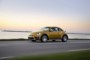 foto: 28 vw-beetle-dune 2016.jpg