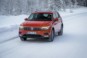 foto: 29 VW Tiguan 2016 nieve.jpg