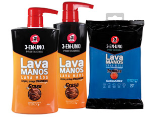 BODEGON-LAVAMANOS