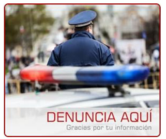 Denuncia de talleres ilegales, operativo en la web de O.P.E.N.