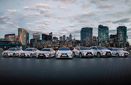 lexus-business-plus