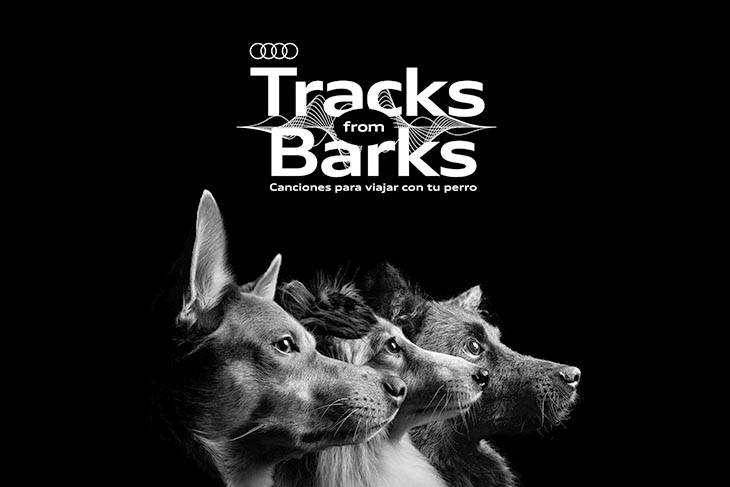 Audi reduce el estrés de los perros con canciones