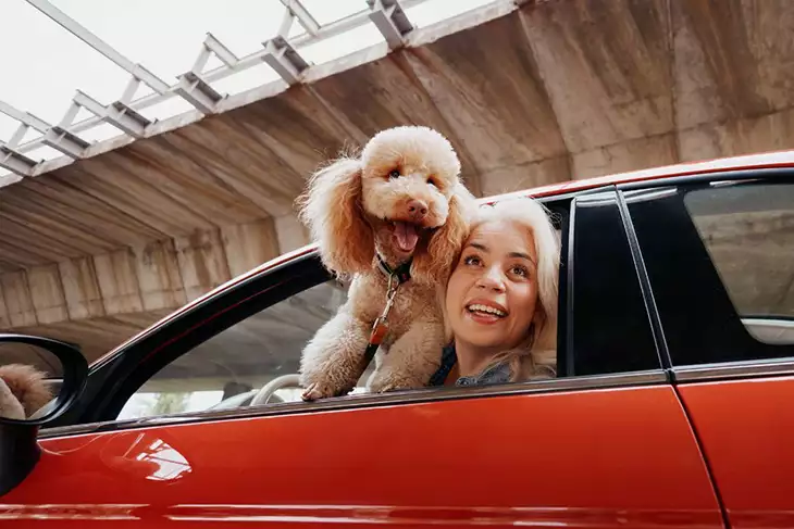 MAPFRE ReDrive: nuevo servicio de compraventa de coches entre particulares