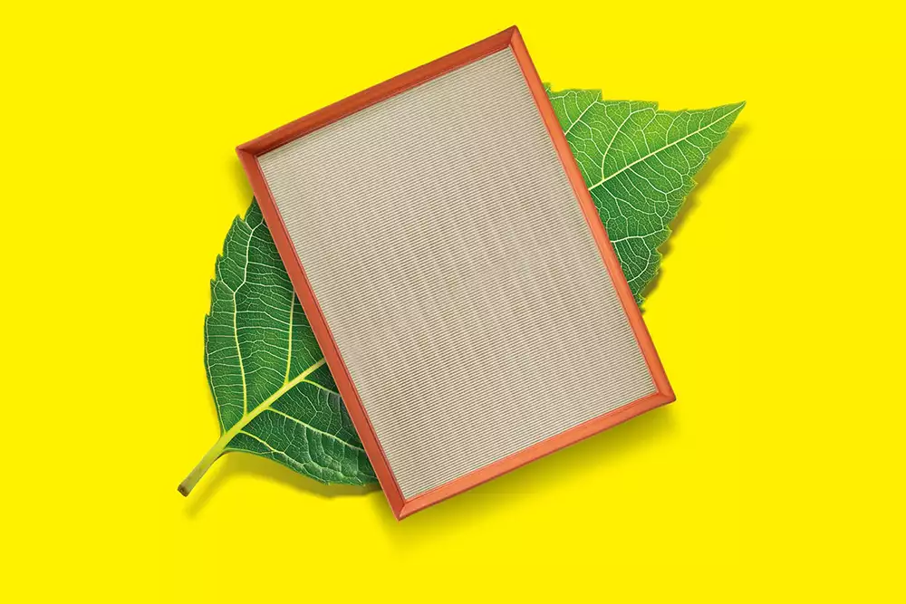 MANN-FILTER amplía su gama de filtros sostenibles para automoción